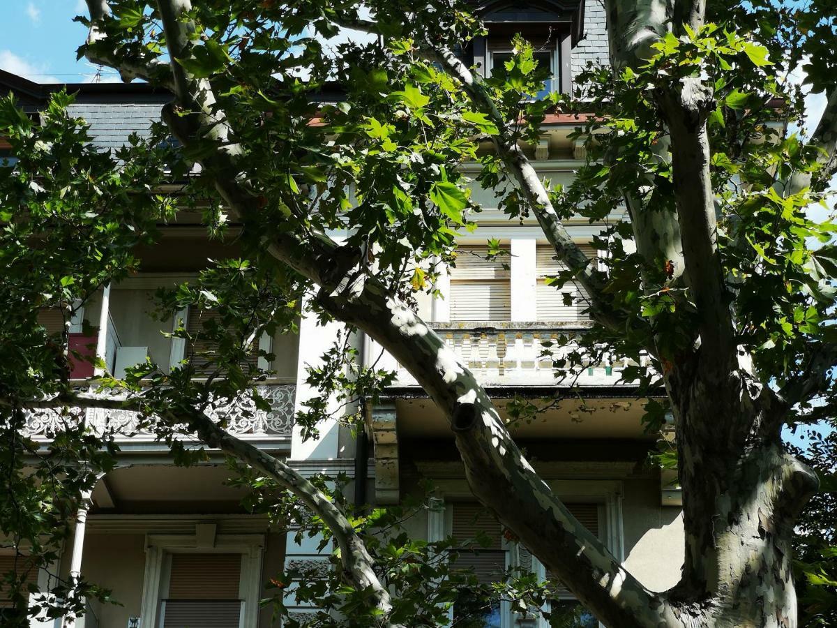 Spazioso E Accogliente Nel Centro Di Μεράνο Εξωτερικό φωτογραφία